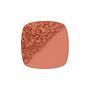 L'Oréal Paris True Match Le Blush 160 Pêche Roze 5 GR