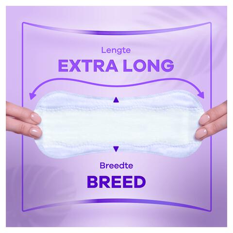 Always Dailies Protect Extra Long Big Pack