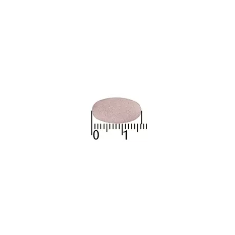 A.Vogel Famosan Overgang1* Totaal Tabletten 60 stuks