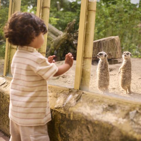 Entreeticket Ouwehands Dierenpark