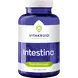 Vitakruid Intestina 120 stuks