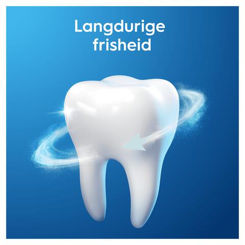 Oral-B Pro-Expert Frisse Adem Tandpasta 75 ML