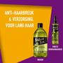 Nature Box Olive Strength Shampoo 385 ML