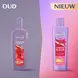 Andrélon Levendige Kleur Shampoo 250 ML