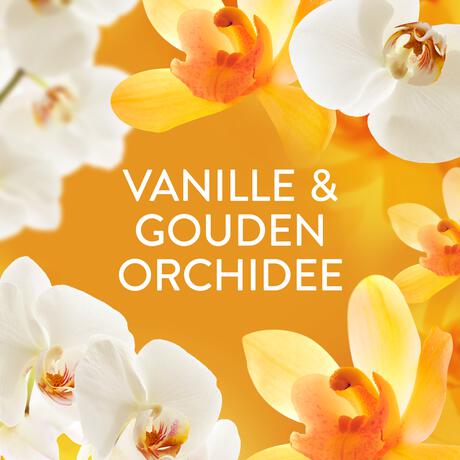 Lenor Geurparels Orchidee Fresh 240 gram