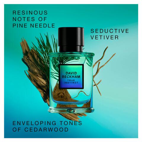 David Beckham True Instinct eau de parfum 50 ML