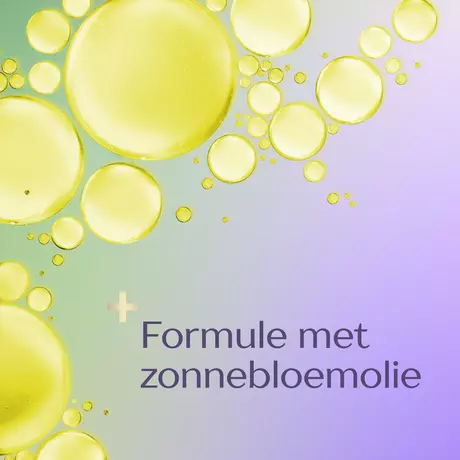 Andrélon Iedere Dag Shampoo 400 ML