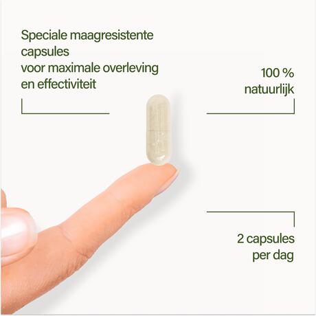 Nupure Probaflor Max Spektrum 30