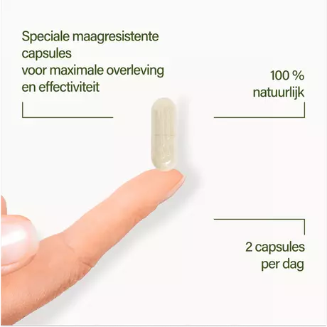 Nupure Probaflor Max Spektrum 30 stuks