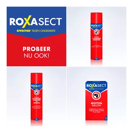 Roxasect Zilvervisjesval 2 stuks
