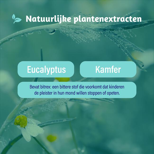 Dampo Inhalatiepleisters 6 pleisters