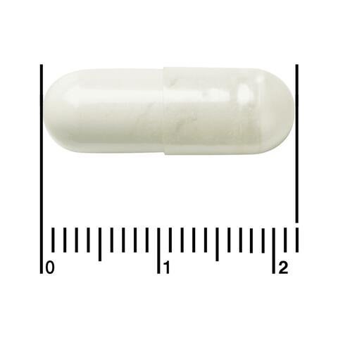 Etos Premium Quality Probioticum Complex Plus 60 stuks