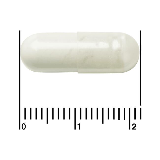 Etos Premium Probioticum Complex Plus 60 stuks