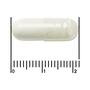 Etos Premium Probioticum Complex Plus 60 stuks