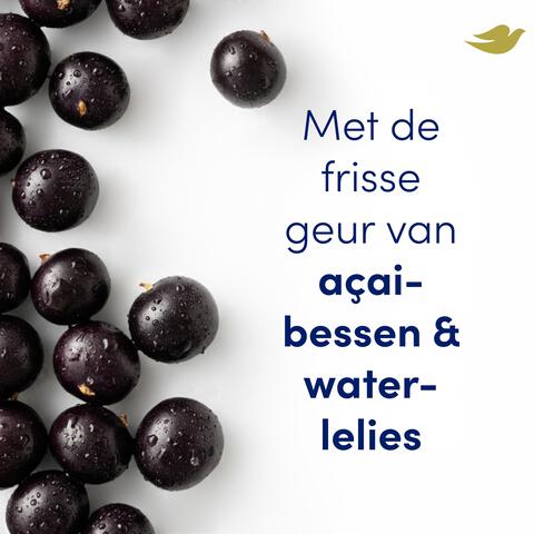 Dove Go Fresh Açaí Berry & Waterlily Anti-Transpirant Deodorant Roller&nbsp;50 ML