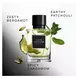David Beckham Instinct Eau De Parfum 50 ML
