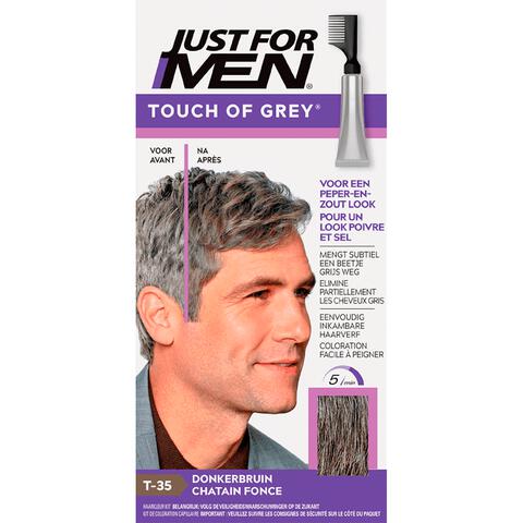Just For Men Touch of Grey T35