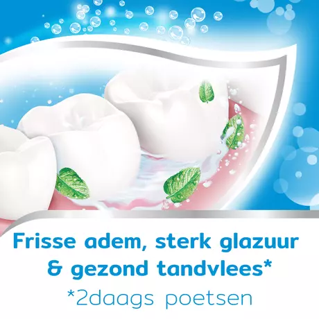 Aquafresh Fresh & Minty Mini-Tandpasta 15ml