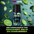 AXE Aqua Bergamot Deodorant Bodyspray 35 ML