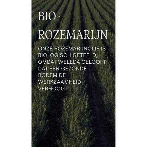 Weleda Rozemarijn Revitaliserende Shampoo 250 ML