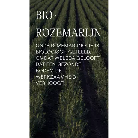 Weleda Rozemarijn Revitaliserende Shampoo 250 ML