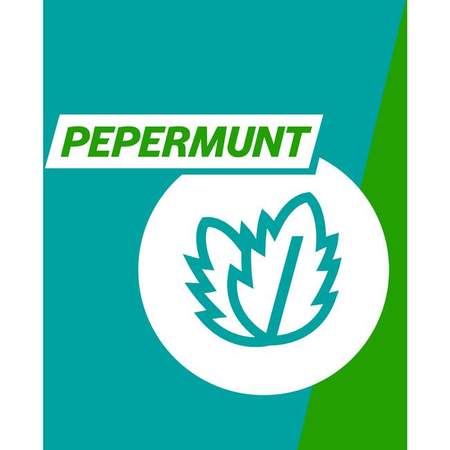 Gaviscon Kauwtabletten Pepermunt Maagzuurremmers 16 Stuks
