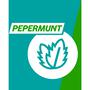 Gaviscon Kauwtabletten Pepermunt Maagzuurremmers 16 Stuks