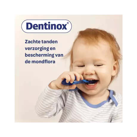 Dentinox Tandgel 10 gram
