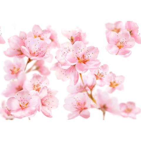 Kneipp Soft Skin Bodylotion 200 ML