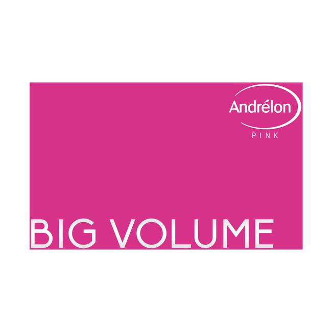 Andrélon Pink Big Volume Fohnpray 200 ML