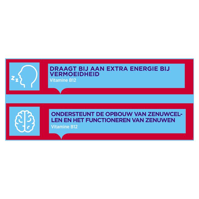 Dagravit Vitamine B12 1000μg  100 smelttabletten