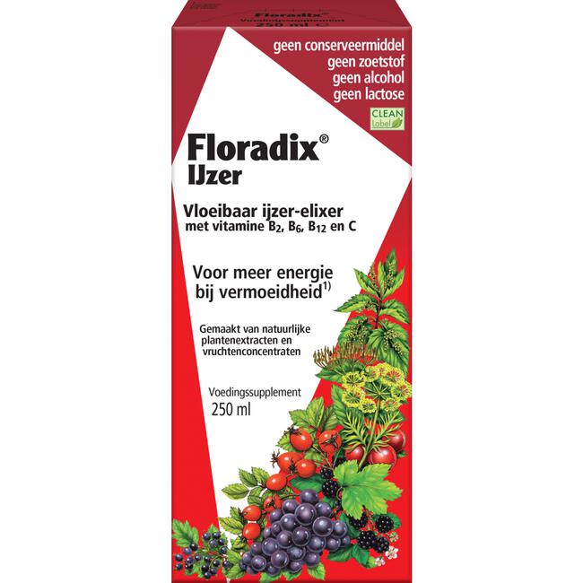 Preek brandwond Glimp Floradix Vloeibaar IJzer Elixer 250 ML | Etos