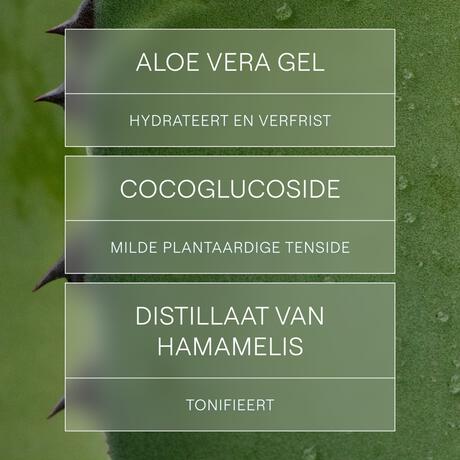 WELEDA Verfrissende Reinigingsgel 150 ML