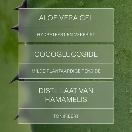 Weleda Verfrissende Reinigingsgel 150 ML