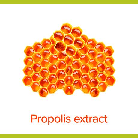 Palmolive Hygiëne Plus Family Antibacteriële Vloeibare Handzeep 300 ML