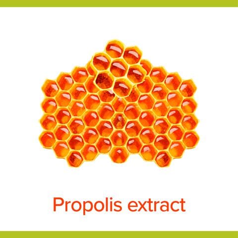 Palmolive Hygiëne Plus Family Antibacteriële Vloeibare Handzeep 300 ML