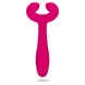 Teazers Pair Vibrator