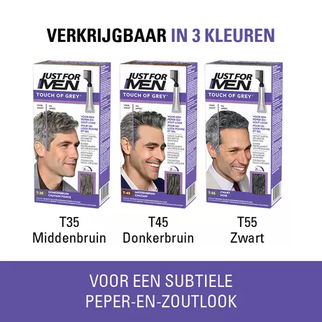 Just For Men Touch of Grey T35