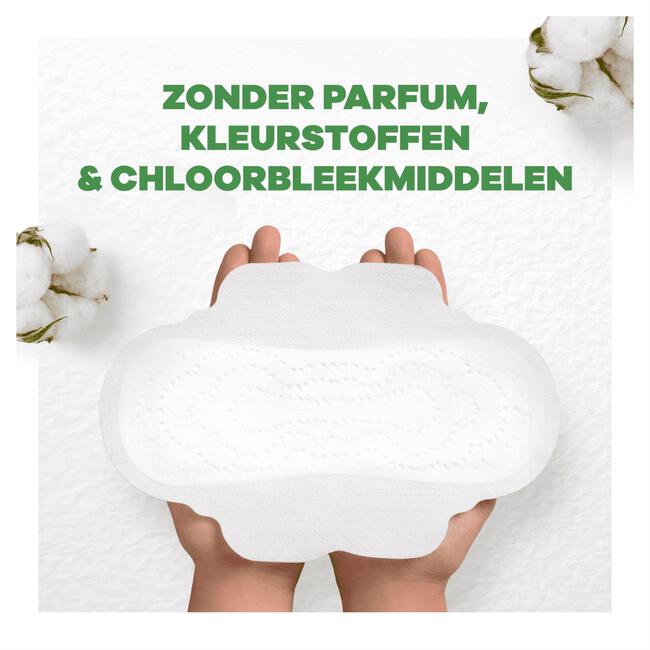 Always Cotton Protection Maandverband Night Met Vleugels 8 Stuks