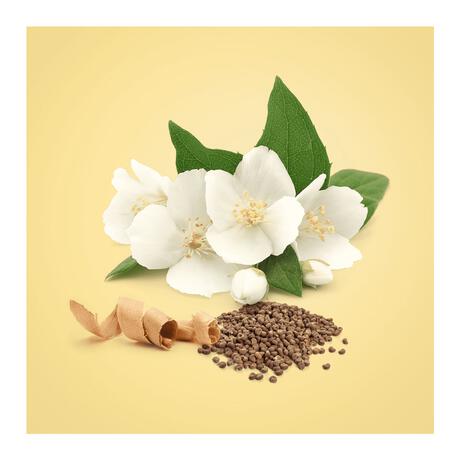 Calvin Klein Beauty eau de parfum 100 ML