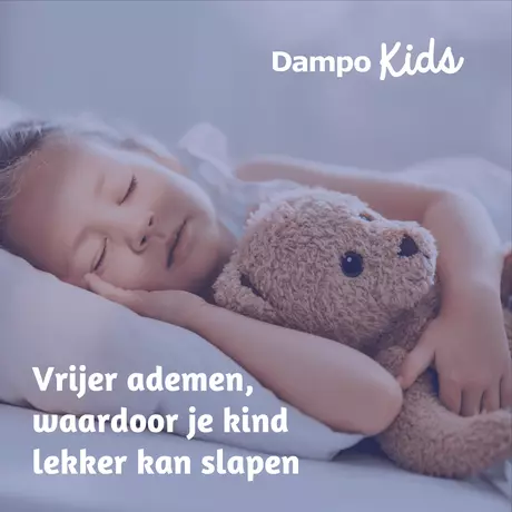 Dampo Inhalatiepleisters 6 stuks
