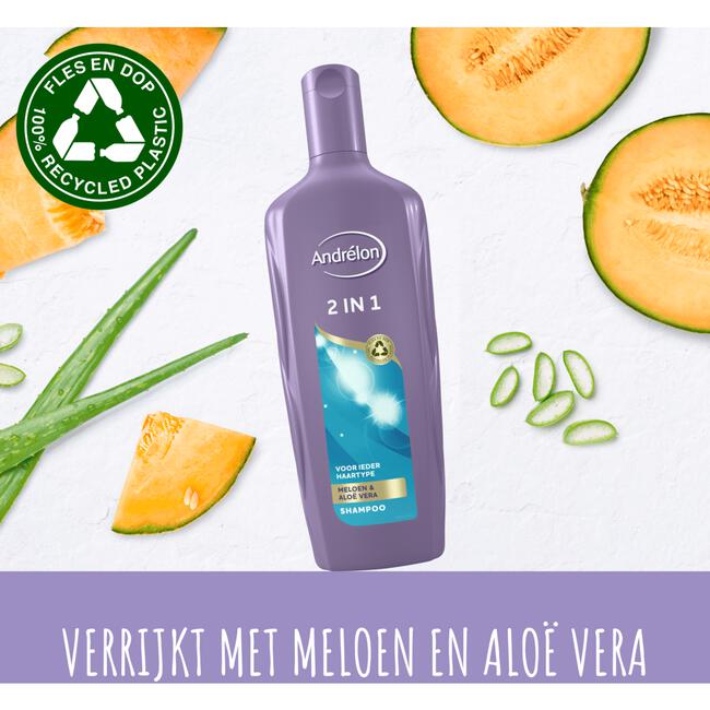 Andrélon Classic 2-in-1 Shampoo & Conditioner 300 ML