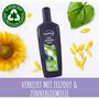 Andrélon Men Iedere Dag Shampoo 300 ml