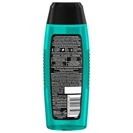 Fa Men Extreme Cool Douchegel & Shampoo 250 ML
