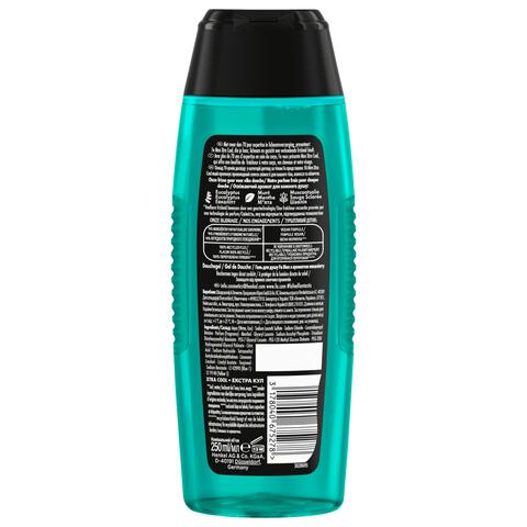 Fa Men Extreme Cool Douchegel & Shampoo 250 ML
