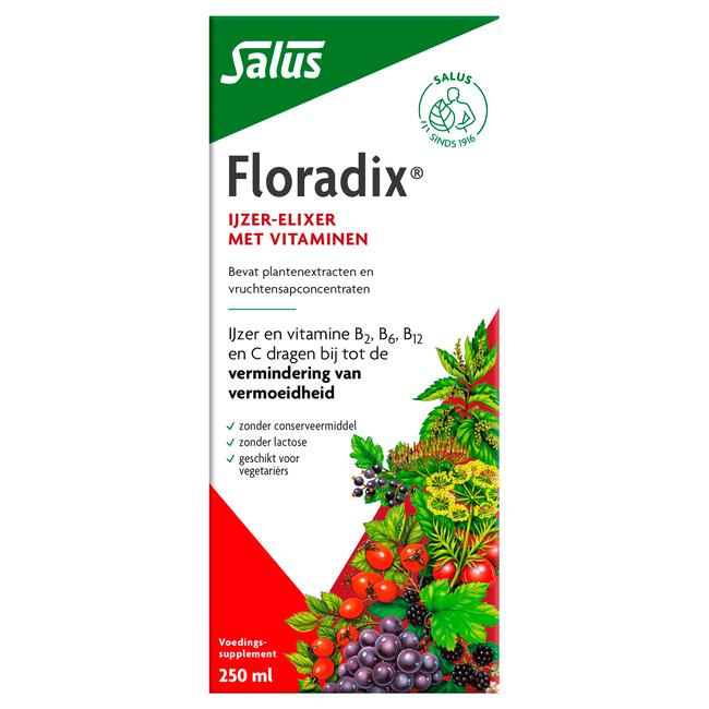 Floradix Vloeibaar IJzer Elixer
