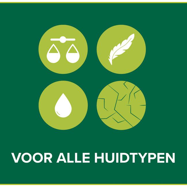 Palmolive Aquarium Vloeibare Handzeep 300 ML