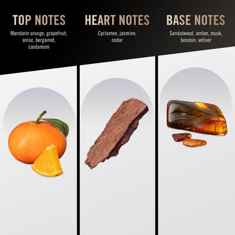 Bruno Banani Pure Man eau de toilette 30 ML