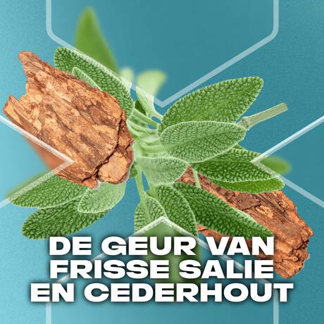 AXE Apollo Deodorant Bodyspray 150 ML