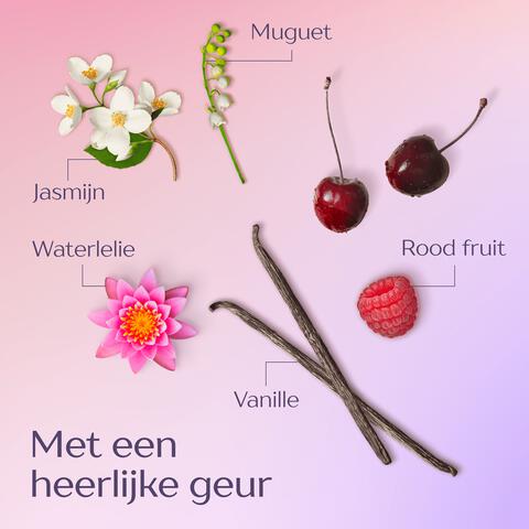 Andrélon Extra Glans Shampoo 250 ML